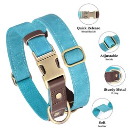 Didog Soft Padded Leather Dog Collars for Medium Dogs, Classic Heavy Duty Dog Collars with Quick Release Metal Buckle, Adjustable Medium Dog Collar Leather,Light Blue,M
