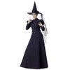InCharacter Wretched Witch Adult Costume, Small Black