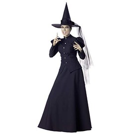 InCharacter Wretched Witch Adult Costume, Small Black