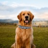 Reflective Dog Collar Padded Black Collar and Lead Set Polyester
