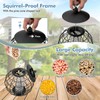 SOARS Hanging Bird Feeder with Protective Cage Metal, Bird Feeder