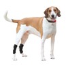 TokdoUp D42AC Dog & Cat Rear Leg Hock Brace Long
