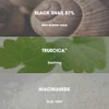 SOME BY MI [SOME BY MI]*renewal* Snail Truecica Miracle Repair