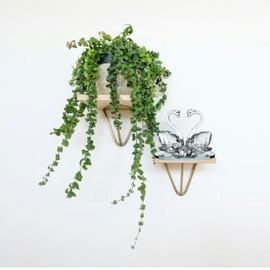 Crystal Glass Animal Double Twin Swan Model Crystallized Crushed Swans Silver Ornaments, Size: 5 Inches (12 cms)