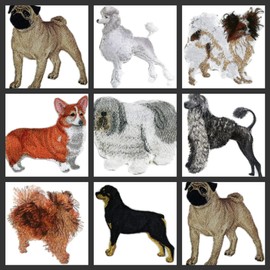 Amazing Custom Dog Portraits[Rottweiler] Embroidered Iron On/Sew Patch [6.46" x 5.6"][Made in USA]