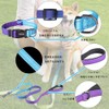 Petilet Dog Leash & Collar, Dog Collar Leash for Small,