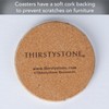 Thirstystone Brand - Desert Sand Coaster, Multicolor All Natural Sandstone
