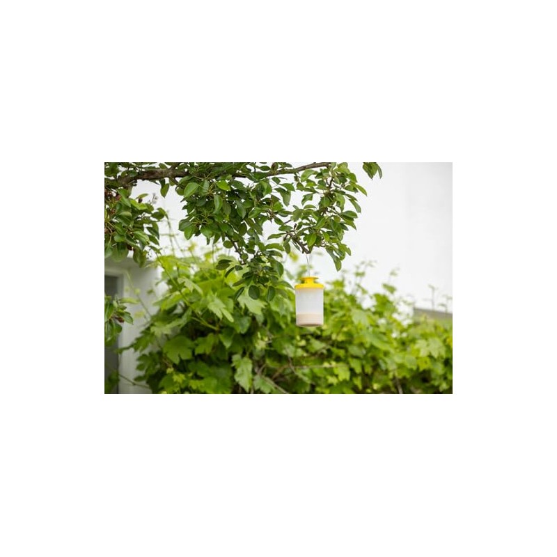 Kerbl CIT FlyCage3 Fly Trap with Attractant