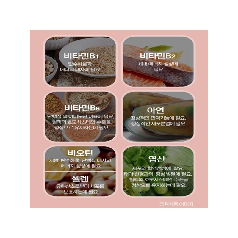 Smile Ren 밀크시슬 간장 간 지방 수치 간 피곤할때 약1달분