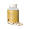Nootrópico con Melena de León y L-Glutamina para Concentración -