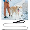 Chain Anti Bite Metal Dog Lead Dog Chain Lead Heavy