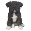 Vivid Arts - Pet Pals Brindle Staffordshire Home or Garden