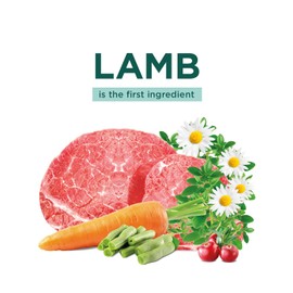 OPtimeal Wholesome Tender Morsels Cat Wet Food - Real Morsels, Balanced Recipe for Adult Cats (4.5lbs, 24 Pouches) Lamb & Veggies