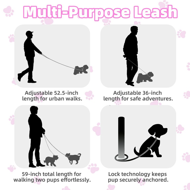 PUPTECK Dog Harness and Leash Set Small Sized, Lightweight Step-in