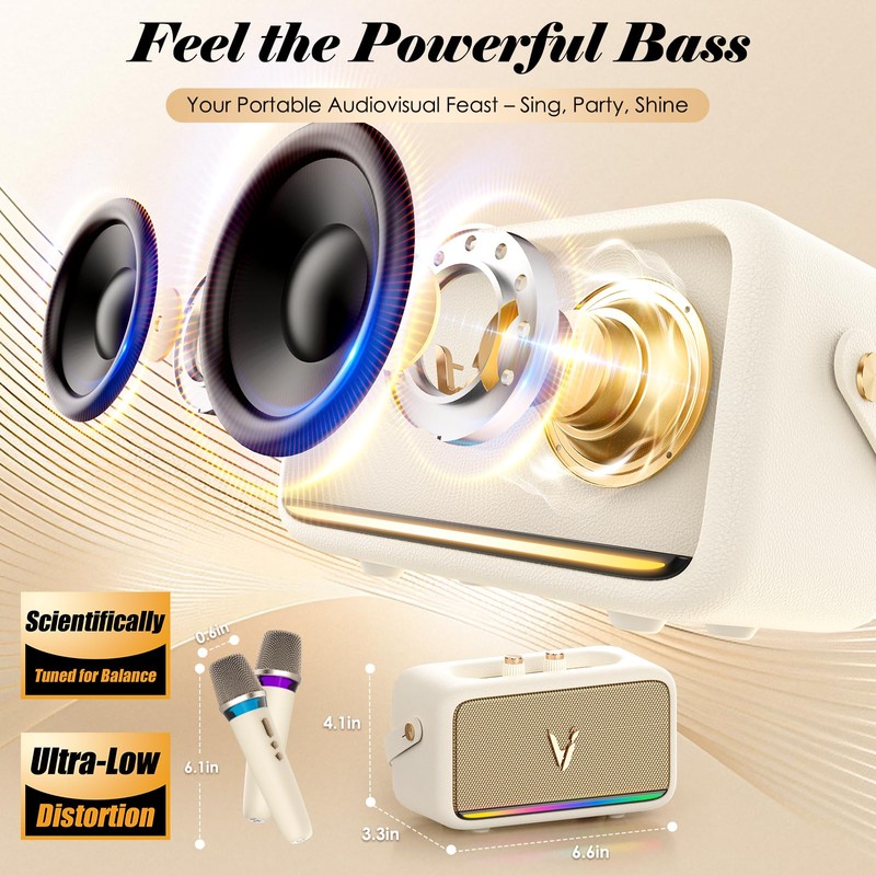 Karaoke Machine with 2 Wireless Mics & Soft Leather Wrap