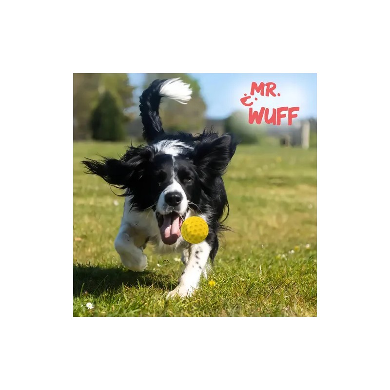 Pelota Mr. Wuff Grande Para Perro Con Sonido Caucho 8cm