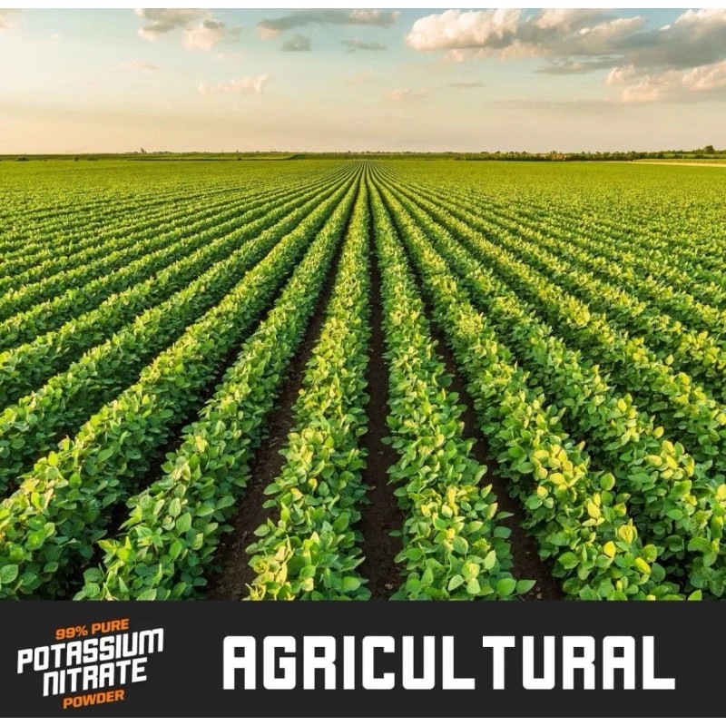 Craftwood Coating's 5 Lb. Stump Remover - Multi K -