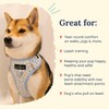 Lucy & Co. The Simply Splendid No-Pull Dog Harness -
