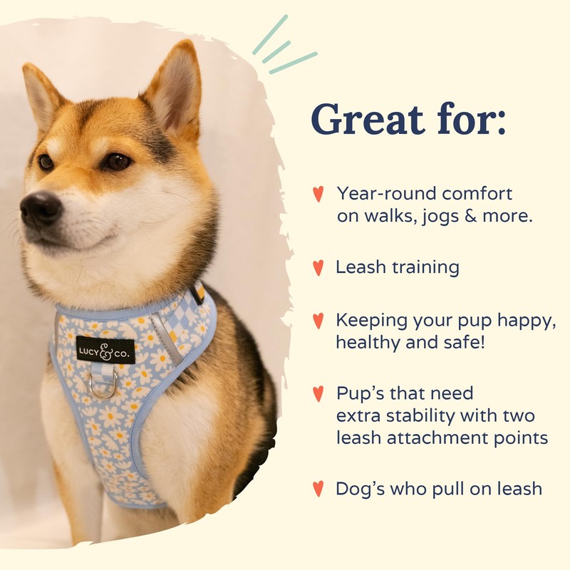 Lucy & Co. The Simply Splendid No-Pull Dog Harness -