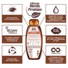 Garnier Ultimate Blends Shampoo & Conditioner Set | Sleek Restorer