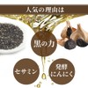 シードコムス 黒ゴマセサミン & 発酵黒ニンニク サプリメント 約6ヶ月分 360粒