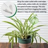 KGCCIZI Self Watering Planter Insert. Plant Watering Devices. 3-Pack Cactus