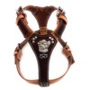 Two Tone Leather Dog Harness with Staffordshire Bullterrier Head Motif