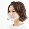 3R SYSTEMS Mouse Shield, Transparent Mask, Transparent Shield Mask, 10