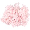 DECHOUS Hortensia Seca Flores Preservadas 20 g Perfectos para Arte