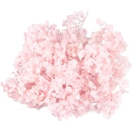 DECHOUS Hortensia Seca Flores Preservadas 20 g Perfectos para Arte DIY y Decoración De Uñas