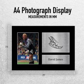 HWC Trading A4 David James Liverpool Gifts Printed Signed Autograph Picture for Football Fans and Supporters