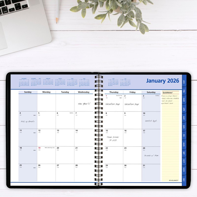 AT-A-GLANCE 2026 Appointment Book Planner, Monthly, 7" x 8-3/4", Medium,