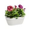 elho Vibia Campana Wall Basket 35 - Planter for Balcony