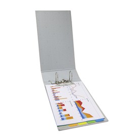 Lion Office Equipment A4E NF-12 AZ File, Light Gray