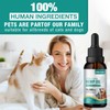 Dog Relaxants Oil for Dogs and Cats - Pets Dogs