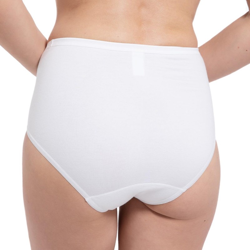 Speidel 9826 Women’s Basic Waist Briefs, Pack of 5 -