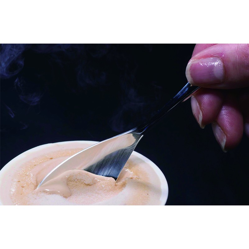 COPPER the cutlery CI-1SVma Ice Cream Spoon, 1 pc/Silver mat