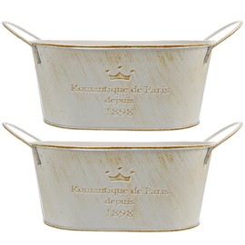 Kisangel 2pcs Desktop Decor Vintage Vases Retro Plant Pot Garden Planter Decoration Planting Flower Pot Floral Arrangement Container Creative Flower Pot Iron Rural Office Flower Bucket