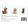 Doggy DrySaver Towel - by Rapid Dry Towels - Luxurious