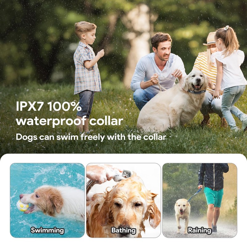 Collar Replacement Belt,2-Pack Reflective Replacement Nylon Collar Strap,Durable Adjustable Shock