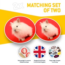 2 x 30cmVinyl Stickers - Fluffy White Bunny Rabbit Pet Decals for Car Van Luggage Scrap Book Fridge #15927