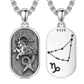 enjoylifecreative 12 Zodiac Sign Necklace for Men Women 925 Sterling Silver Constellations Horoscope Pendant Jewellery Gifts for Men Women, Sterling Silver, No Gemstone