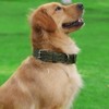 Buckle Dog Collar, 2 Wide Adjustable Nylon Military Tactical Dog