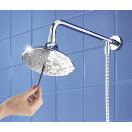 Wenko 4054010500 descaling Gel with Brush, 0.125 litres