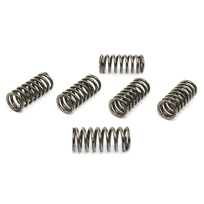 KIT MOLLE FRIZIONE EBC (4 PEZZI) RINFORZATE 10%