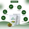 Herbal Magic 100% Pure & Natural Moringa Tea, A Natural