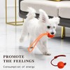 Ball on rope,Dog Rope Ball,Rope Ba-ll Chew and Tug Dog