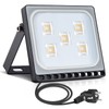 Fairyland LED Spotlight with Plug, 10 W, 20 W, 30