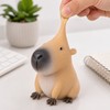 3 Pcs Capybara Squishy Toy for Squeezing & Fidgeting –