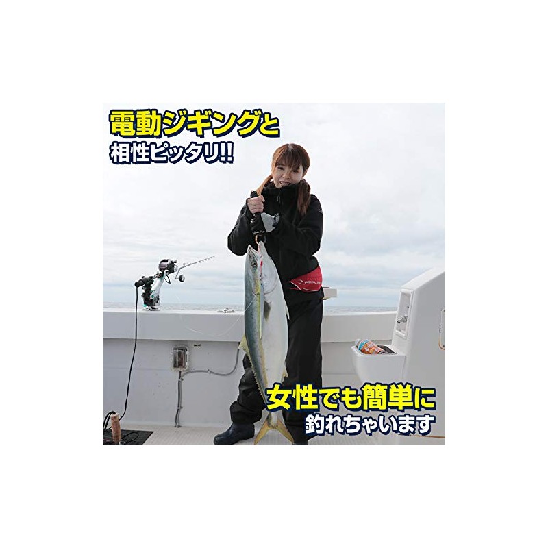 Lure, Metal Jig, 7.4 oz (210 g), Long Yellowtail, Inshore